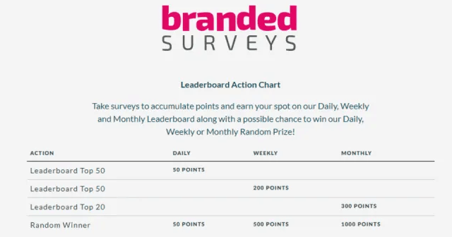 How To Make Money With Branded Surveys?